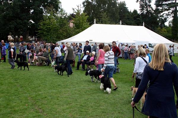 Dog show 1.jpg